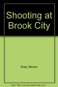 Shooting at Brook City