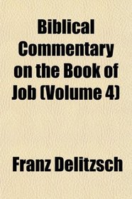 Biblical Commentary on the Book of Job (Volume 4)