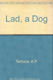 Lad, a Dog