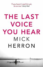 Last Voice You Hear (Oxford Investigations, Bk 2)