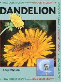 Dandelion (How Does it Grow?)