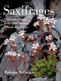 Saxifrages: The Definitive Guide to 2000 Species, Hybrids & Cultivars