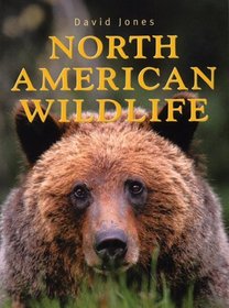 North American Wildlife