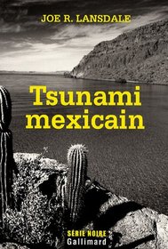 Tsunami mexicain (French Edition)