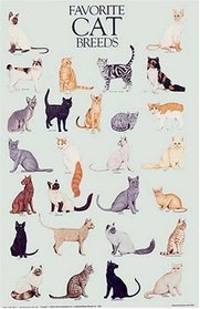 Favorite Cat Breeds Poster (Posters)