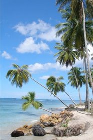 Dominican Republic Beach Journal: 150 page lined notebook/diary