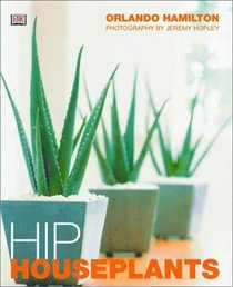 Hip Houseplants