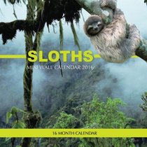 Sloths Mini Wall Calendar 2016: 16 Month Calendar