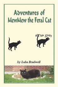 Adventures of MewMew the Feral Cat