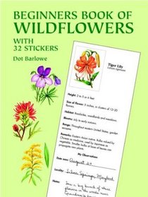 Beginners Book of Wildflowers: With 32 Stickers