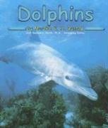 Dolphins (Ocean Life)