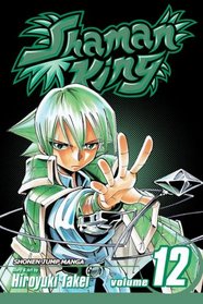 Shaman King, Volume 12 (Shaman King (Graphic Novels))