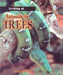 Animals in Trees (Looking at... (Raintree))