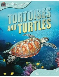Animal Lives: Tortoises and Turtles (Qeb Animal Lives)