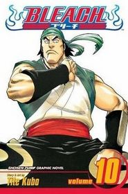 Bleach, Vol 10: Tattoo on the Sky