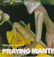 Praying Mantis (Living Things)