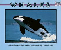 Whales (Mondo Animals)