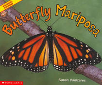 Butterfly Mariposa