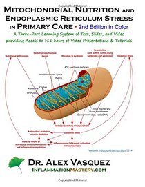 Mitochondrial Nutrition and Endoplasmic Reticulum Stress in Primary Care, Second: A Three-Part Learning System of Text, Slides, & Video providing ... & Tutorials (Inflammation Mastery) (Volume 1)
