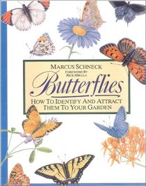 Butterflies: How to Identify and Attract Them to Your Garden