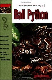 Guide to Owning a Ball Python