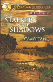 stalker in the shadows