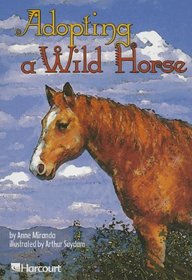 Adopting a Wild Horse