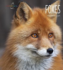 Foxes (Living Wild)