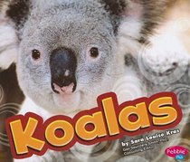 Koalas (Pebble Plus)
