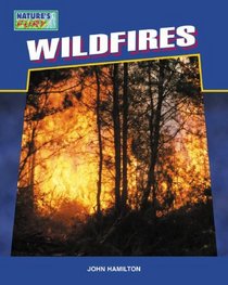 Wildfires (Nature's Fury)