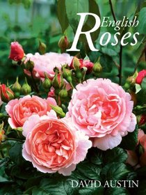 English Roses
