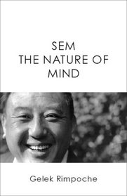 SEM The Nature of Mind