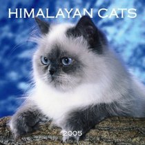 Himalayan Cats 2005 Wall Calendar