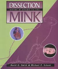 Dissection Guide And Atlas For The Mink