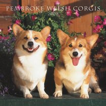 Welsh Corgis, Pembroke 2008 Square Wall Calendar (German, French, Spanish and English Edition)