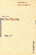 Oldenbourg Interpretationen, Bd.70, Der Process