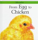 From Egg to Chicken (Lifecycles)