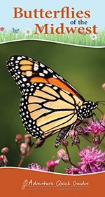 Butterflies of the Midwest (Adventure Quick Guides)