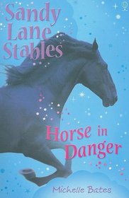 Horse in Danger (Sandy Lane Stables)
