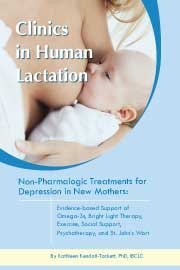 Non-pharmacologic Treatments for Depression in New Mothers (Clinics in Human Lactation)