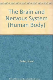 The Brain and Nervous System (Human Body)