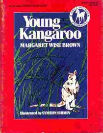 Young Kangaroo