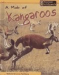 A Mob of Kangaroos (Animal Groups)