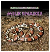 Milk Snakes (The Really Wild Life of Snakes)