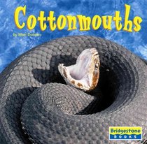 Cottonmouths (World of Reptiles)