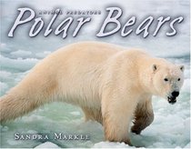 Polar Bears (Animal Predators)