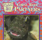 Coral Reef Partners (Color of the Sea)