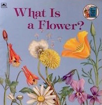 What Is a Flower?