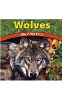 Wolves: Life in the Pack (Wild World of Animals)