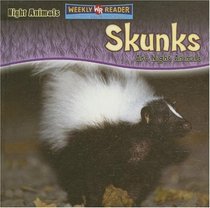 Skunks Are Night Animals